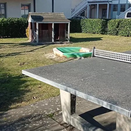Uferschwalbe *