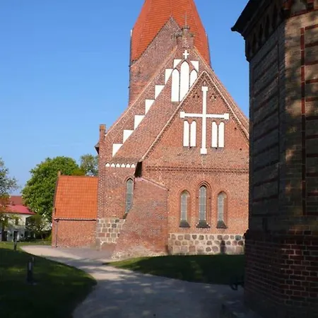 Uferschwalbe Rerik