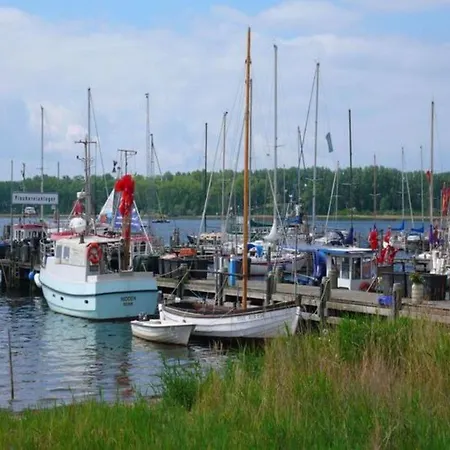 Uferschwalbe