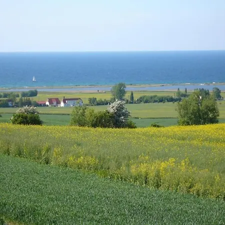 Uferschwalbe شقة