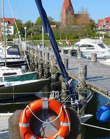 Uferschwalbe